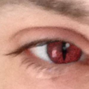 Meet your Posher, Edgardo